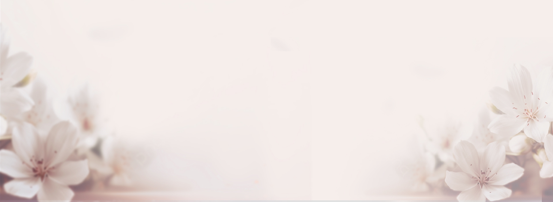 SP.Header.Banner.Productos.03